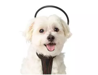 Calmer Canine™ Device + Vest